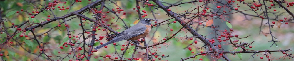 Data Analytics Creates Value